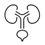 אורלוגיה