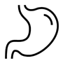בריאטריה